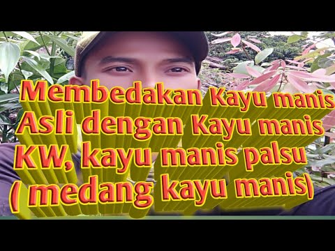 Video: Bagaimana Membedakan Kayu Manis?