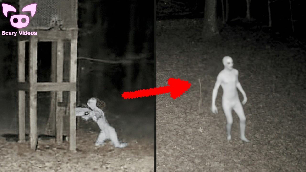 12 SCARY VIDEOS That Will Make You Question Reality