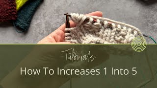 Famous Knitting Tutorial: How To Increase 1 Stitch into 5 | Carol Feller Net Worth