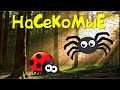 НАСЕКОМЫЕ для детей -Учим насекомых и их звуки- Развивающее видео про Животных для малышей