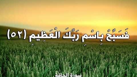 الشيخ محمد أحمد العنانى سورة الحاقة