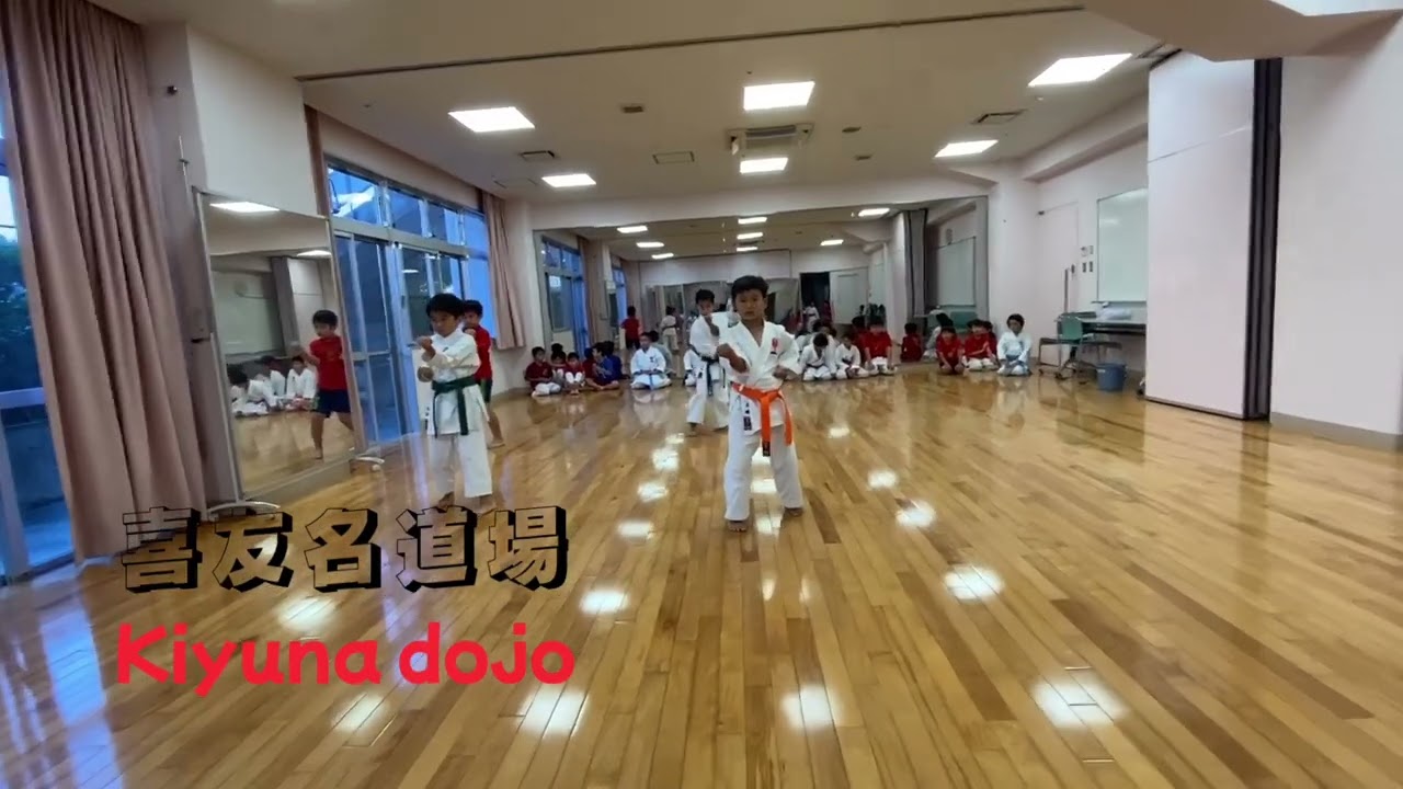 全空連基本形　ゲキサイ第一、第二　2020年くらい　　Gekisai