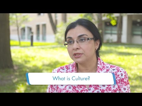 IEHP Perspective_02_What is Culture?