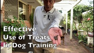 Get the most from using treats Training Your Dog