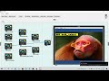 Monkey Classification with CiRA CORE