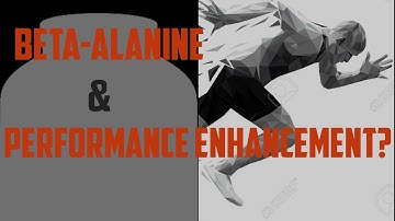 Beta-Alanine!