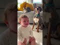 Crying Baby Meets Howling Dog 😆 | Pure Love Moment