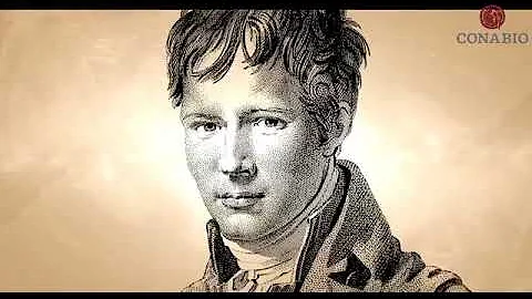 Humboldt en Mxico   La mirada del explorador   Ana...
