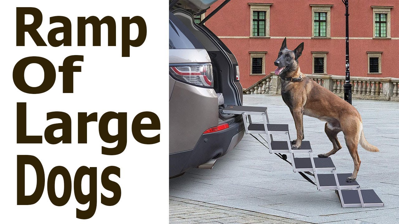 Dog Ramps For Large Dog,Large Pet Ramps. YouTube