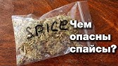 Песня соли спайсы Песня соли спайсы сколько выводятся из организма наркотики