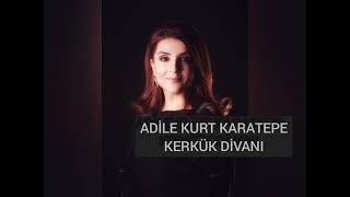 Adile Kurt KARATEPE/KERKÜK DİVANI Resimi