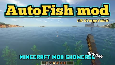 Minecraft 1.16.5 - AutoFish mod