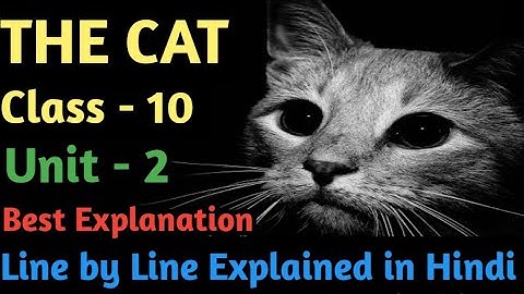 The Cat by Andrew Barton Paterson || Class - 10 || Lesson - 7 || Unit - 2 || Explained in Hindi