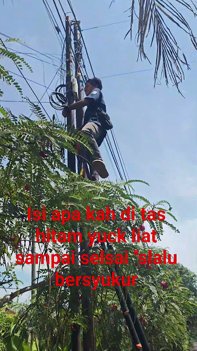 semanhat #jaringaninternet #wifi#