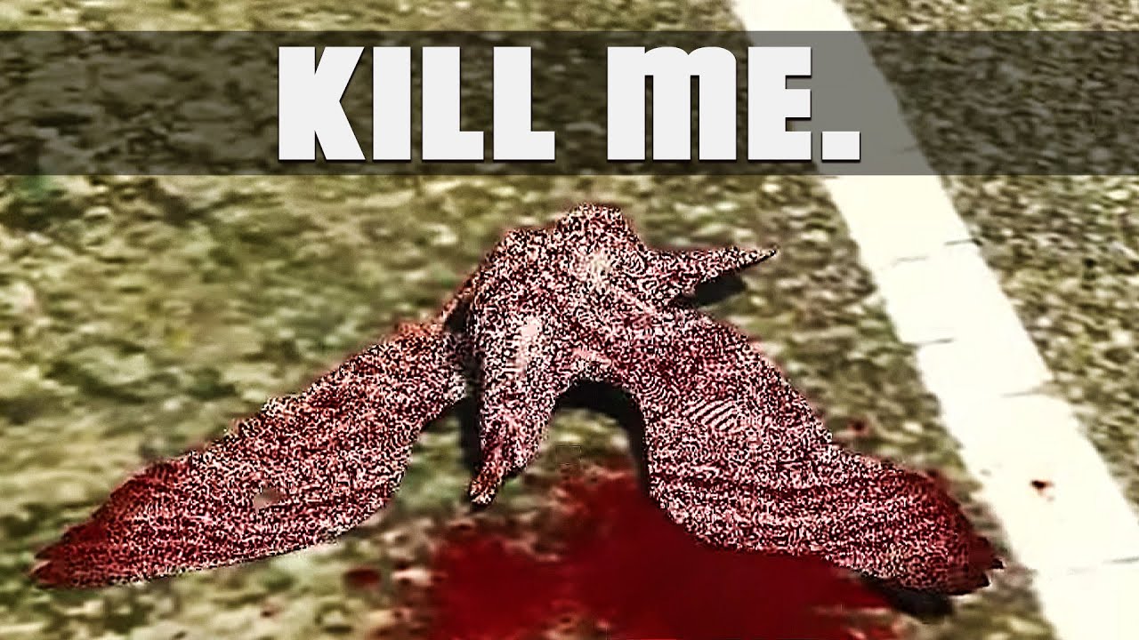 How R* Broke Seagulls... - DarkViperAU