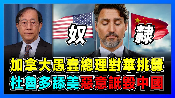 加拿大愚蠢總理詆毀中國，杜魯多舔美惡意詆毀中國！｜中國使用奴隸勞動採鋰，中國成為破壞性的全球大國？｜中美博弈下的加拿大華裔移民處境會如何？【屈基論 EP53】 - 天天要聞