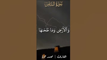 والشمس وضحاها#قران_كريم #اكسبلور #تلاوات #تلاوة_خاشعة #تلاوه #راحة_نفسية #quran #لايك