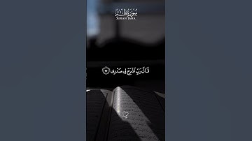 اذكروا الله 🙇♥️💭 || تلاوة خاشعة سورة طه 🤍