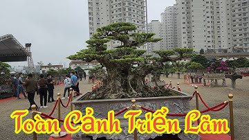 Toàn cảnh triển lãm sinh vật cảnh tại Bắc An Khánh Hoài đức Hà nội
