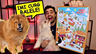 Deschid Primul Calendar Advent Din 2021 Pentru Câini