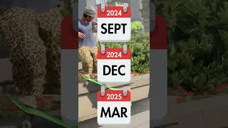 When Will Skate 4 Come Out?