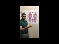 Full Function Rehab - How to Manage Back Pain By Strengthening your Core