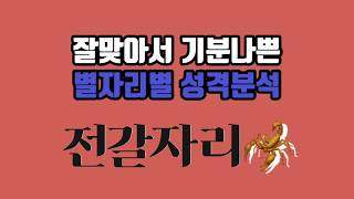 잘맞아서 기분나쁜 별자리별 성격분석｜전갈자리