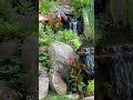 #WaterFeature Friday