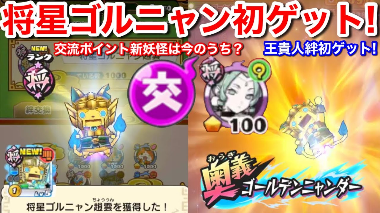 交流ポイント 新妖怪は今のうち？将星ゴルニャン 初ゲット！貴重な後衛 ゴーケツ 土 ハイスコアチャレンジ 前半戦 聖夜の王貴人 絆  初ゲット【妖怪三国志 国盗りウォーズ】YoKai 4周年リニューアル