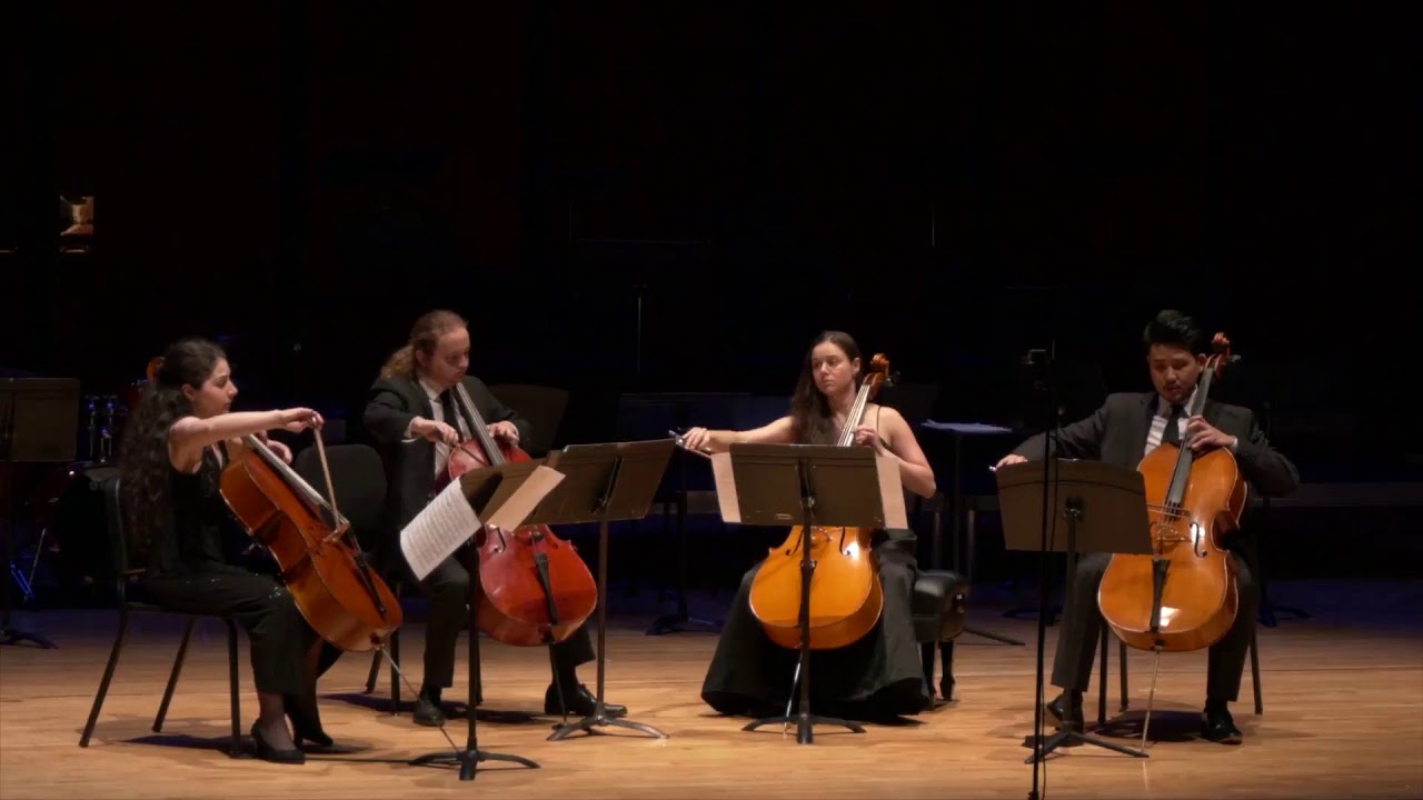 RADIX Cello Quartet - Josef Werner: Elegie for four cellos, Op. 21