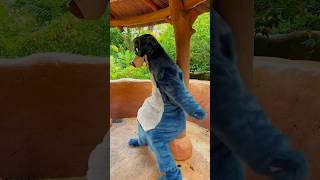 Baloos Dance Moves At Disneyland Paris