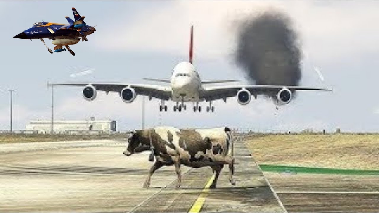 Cow Accidently Came During Airplane Landing