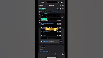 How to See a Meme Coin’s Holder Wallet