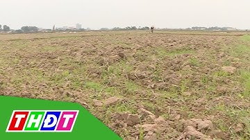 Nguy cơ thiếu nước sản xuất vụ Đông Xuân | THDT
