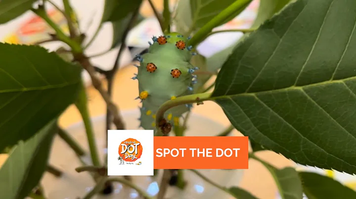 International Dot Day Activity: Spot The Dot