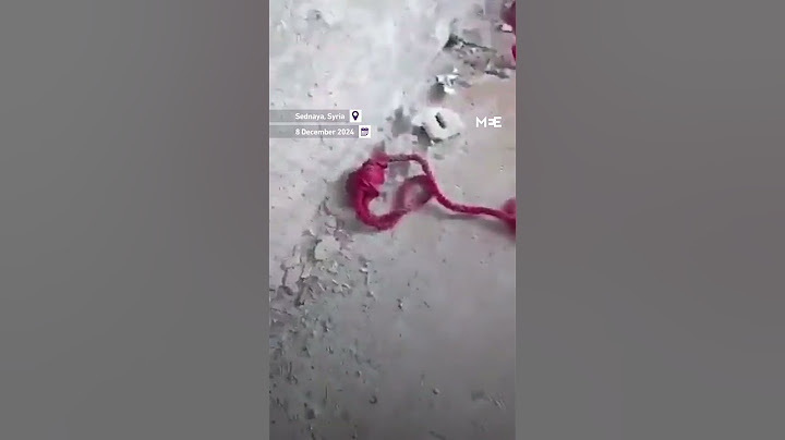 Footage shows ‘execution press’ mechanism in Sednaya prison