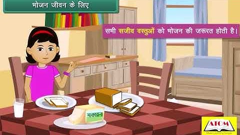 3rd- evs hindi- Living and non Living Things