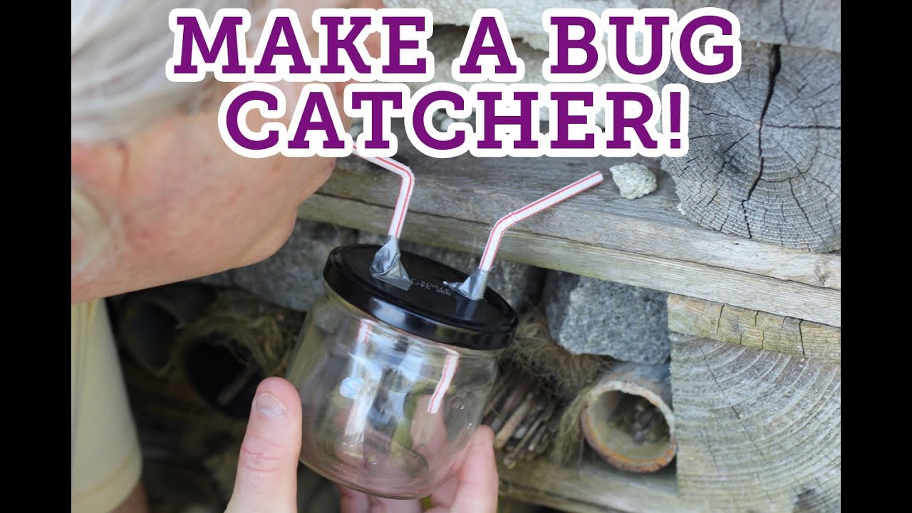How to make a bug catcher -- Eden Project 