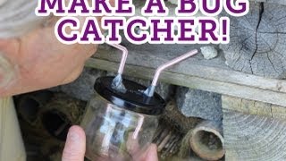 How to make a bug catcher -- Eden Project 