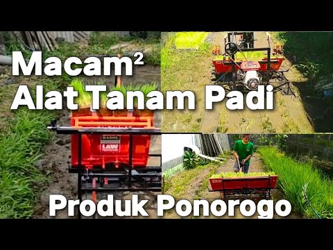Alat Tanam Padi Manual Dan Moderen  // Rice planting tools