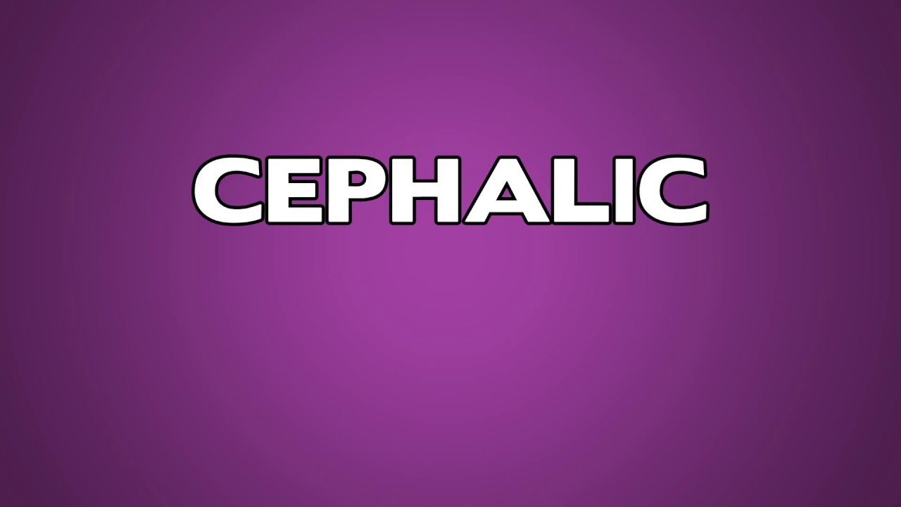 meaning of cephalic presentation in biology