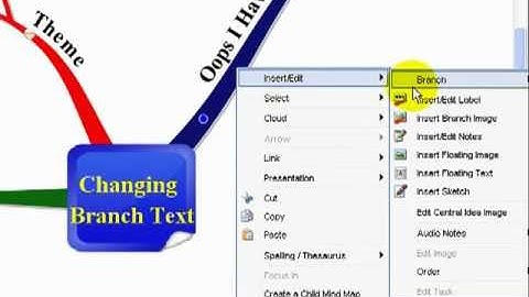 Editing Your Mind Map Branch Text in Buzan