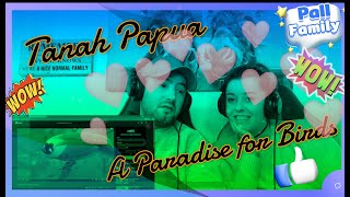 🇮🇩 Tanah Papua: A Paradise for Birds 🇮🇩  Pall Family Reaction !!! It`s a \