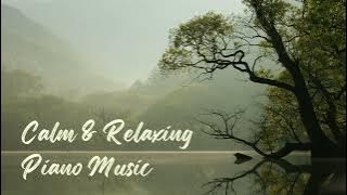 30 Minutes of Calm & Relaxing Piano Music