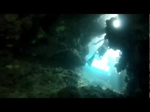 Shark's Cove Freediving