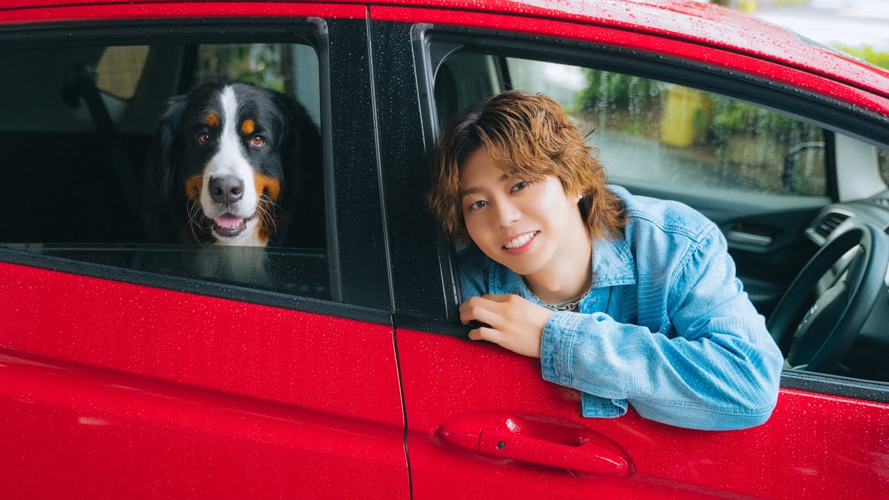 BUDDiiS 岡本聖哉さんが遊びにきてくれました！（バーニーズマウンテン