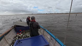 End of season herring netting in dads boat. A good pull in the wind and chop! Plenty of fish