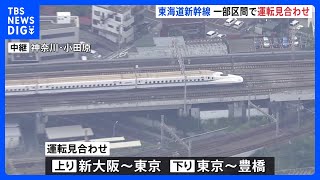 東海道新幹線　上り・新大阪～東京間／下り・東京～名古屋間で運転見合わせ　運転再開は午後3時20分ごろの見通し｜TBS NEWS DIG