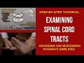 How to Exam Spinal Cord Tracts - Ascending and Descending Tracts