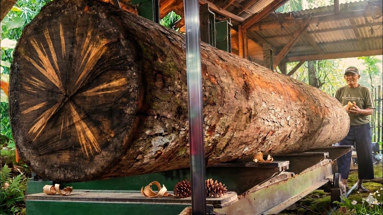 A work of nature that glorifies, white and smooth grain wood. in the sawmill